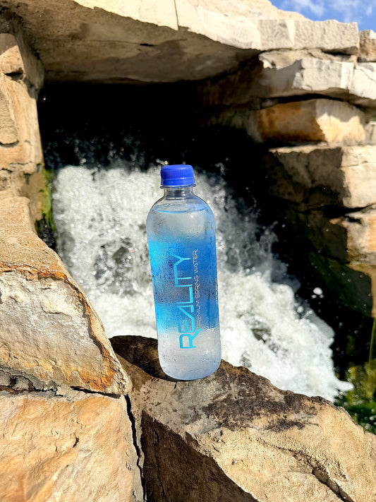 16.9 oz. Premium Spring Water 24-Bottle Case