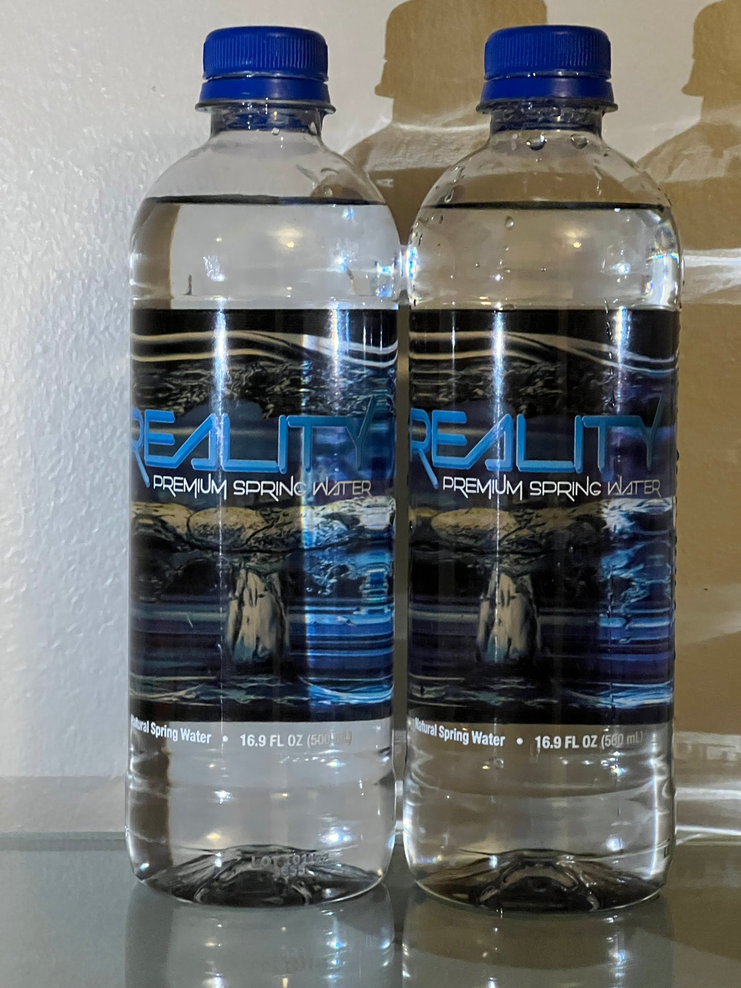 Reality Premium Spring Water, "12" 16.9 oz. BPA Free Water Bottles